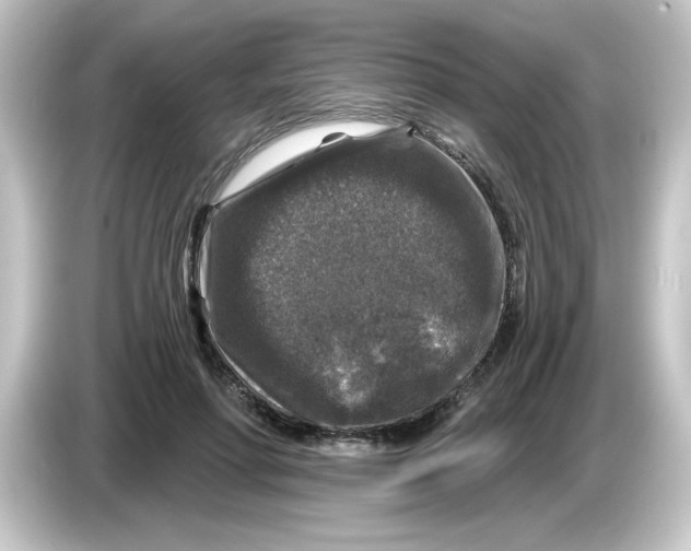 X0000084560598200703161706