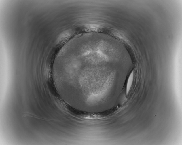 X0000084560599200703161706