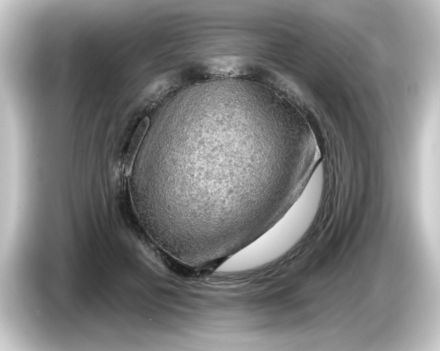 X0000084560601200703161705