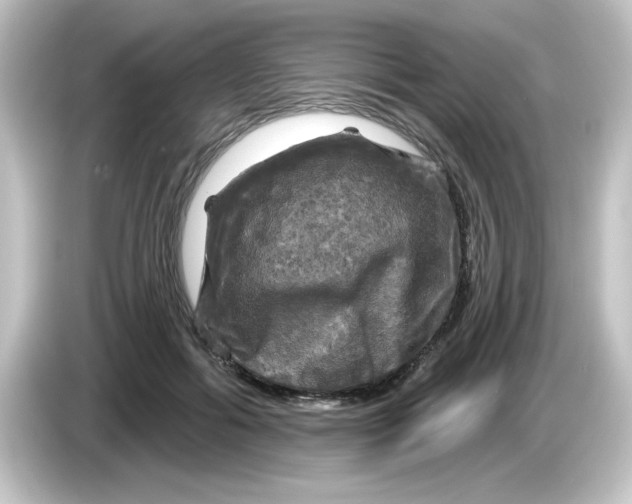 X0000084560602200703161705