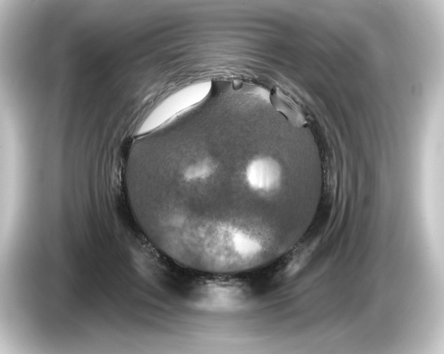 X0000084560603200703161705