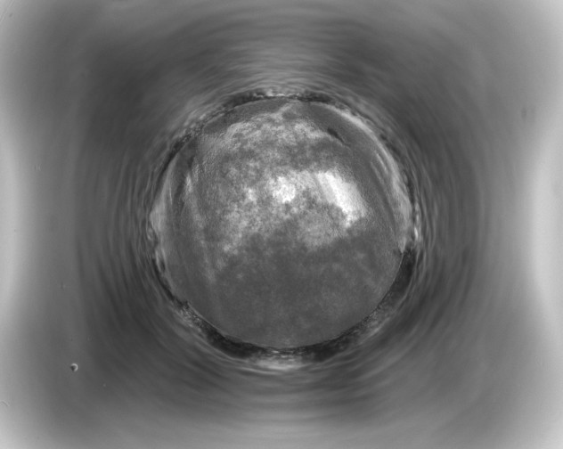 X0000084560604200703161705