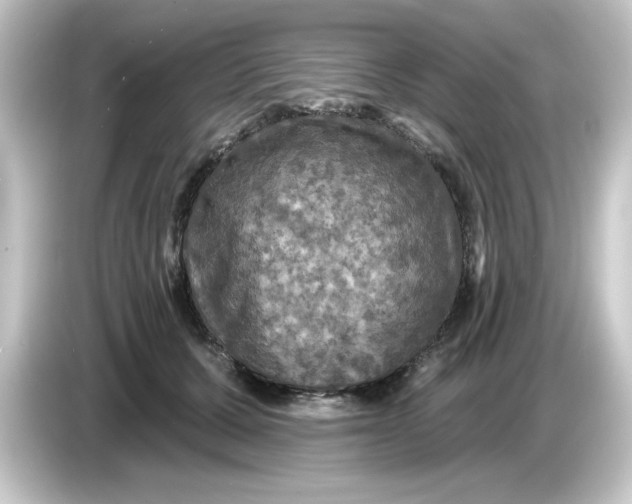 X0000084560607200703161705