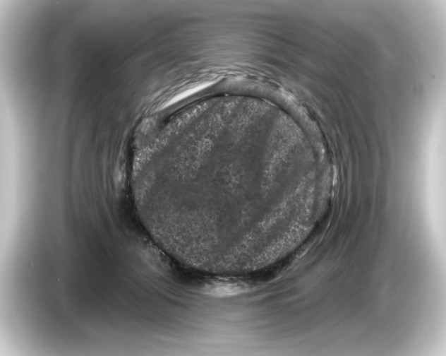 X0000084560608200703161705