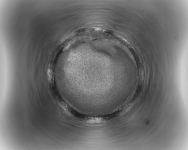 X0000084560609200703161705