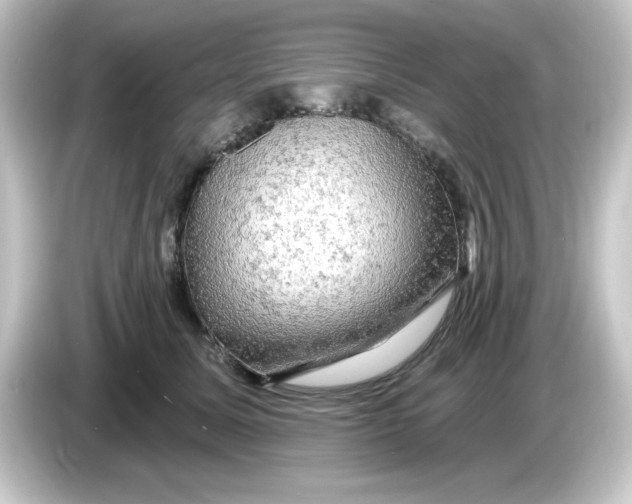 X0000084560611200703161705