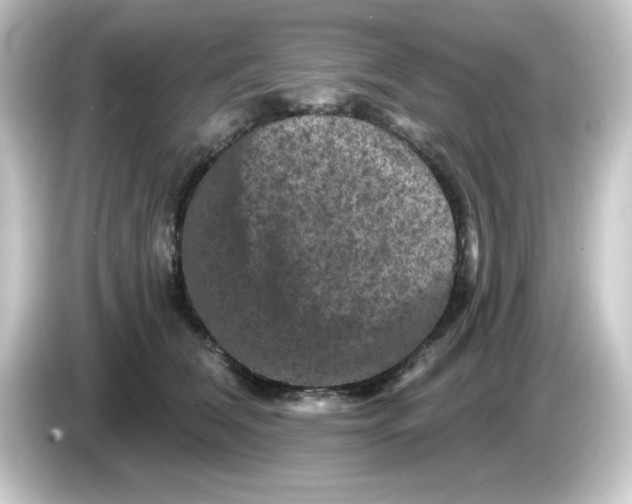 X0000084560612200703161705