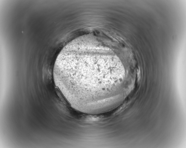 X0000084560613200703161705