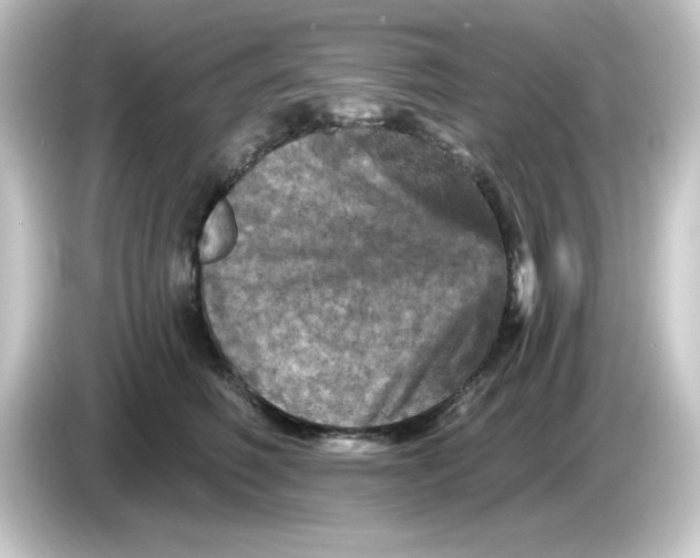 X0000084560614200703161705