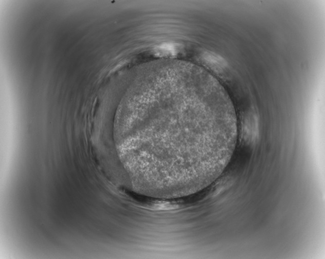 X0000084560616200703161705