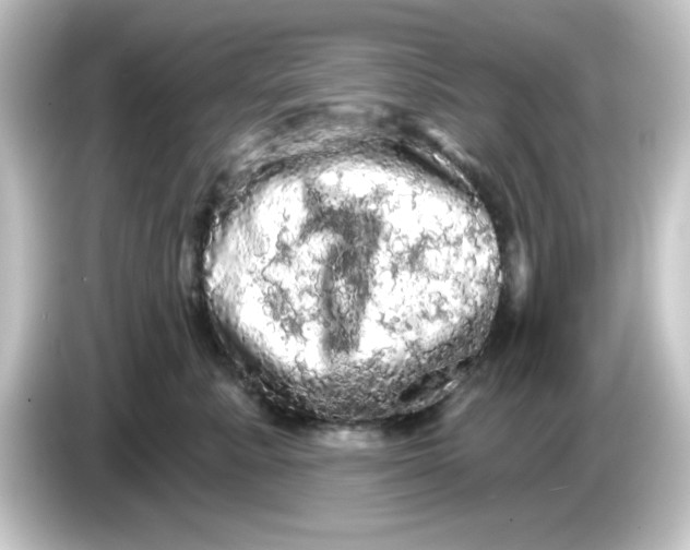 X0000084560619200703161705