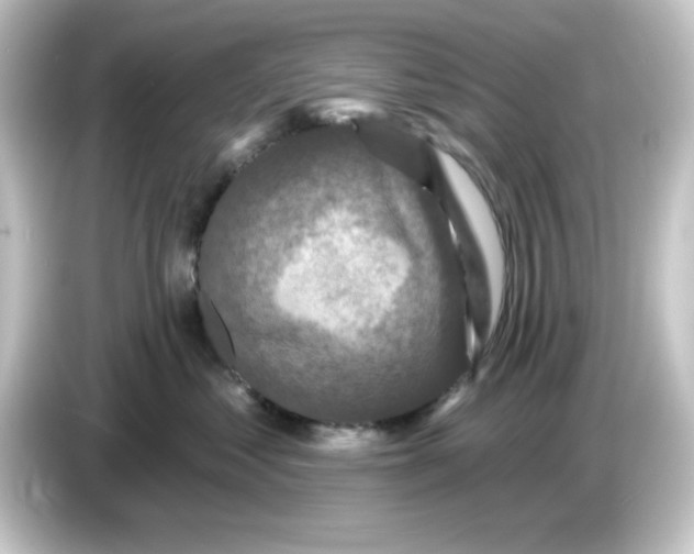 X0000084560621200703161705