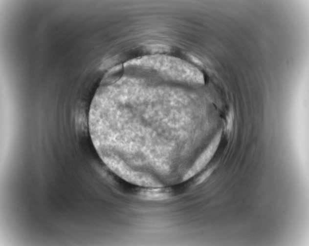 X0000084560622200703161705