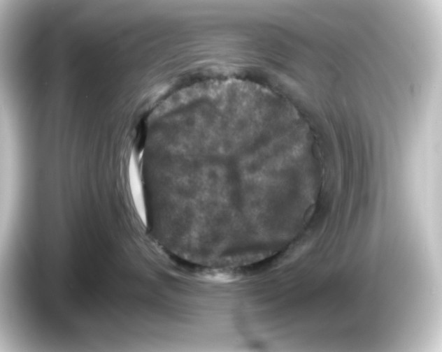 X0000084560624200703161705