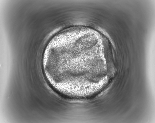 X0000084560625200703161705