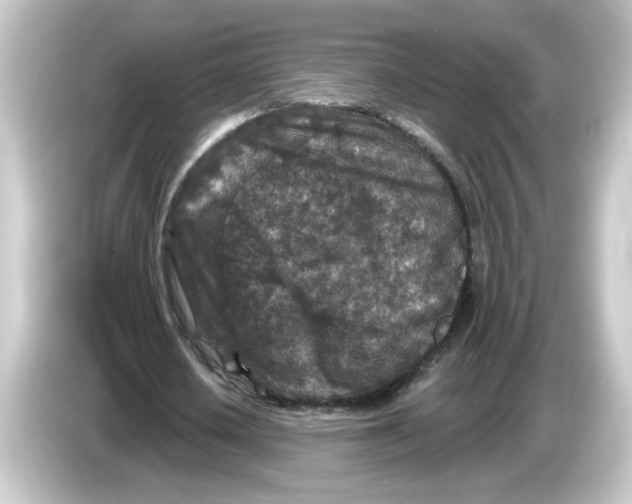 X0000084560626200703161705