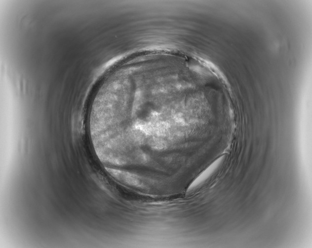 X0000084560628200703161705