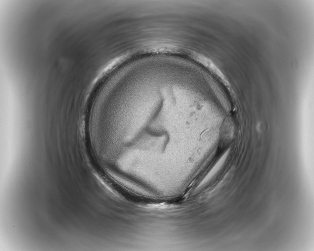 X0000084560629200703161705