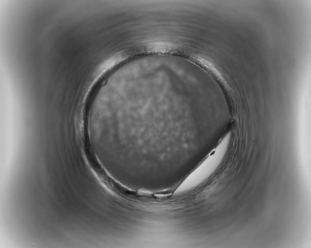 X0000084560630200703161705