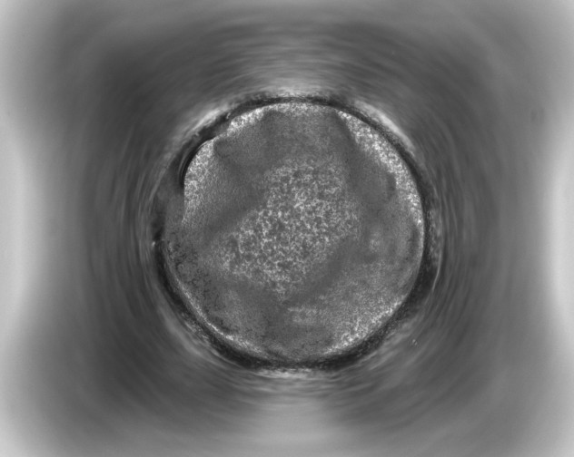 X0000084560631200703161705