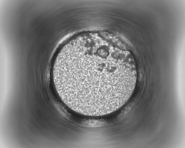 X0000084560632200703161705