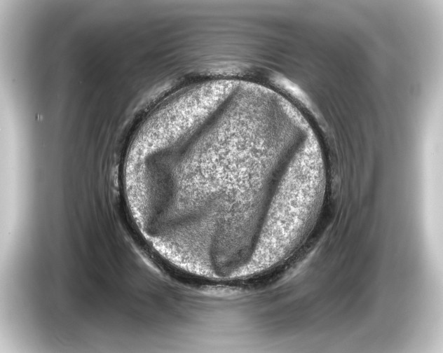 X0000084560633200703161705