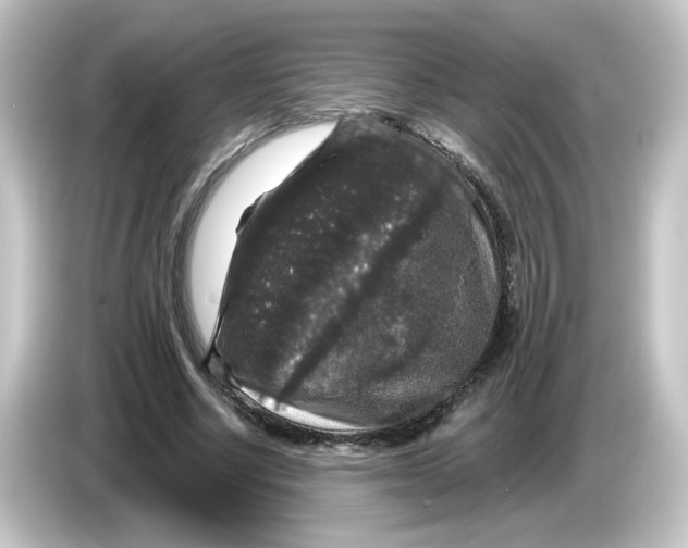 X0000084560634200703161705