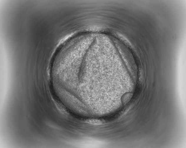 X0000084560636200703161705