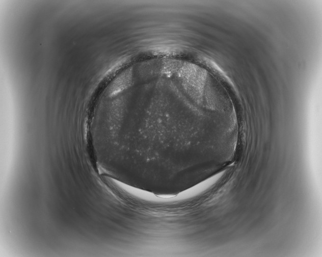 X0000084560637200703161705