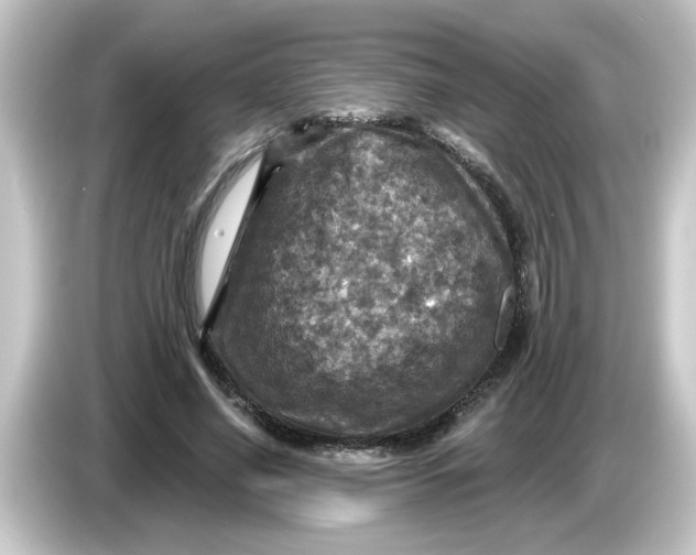 X0000084560638200703161705