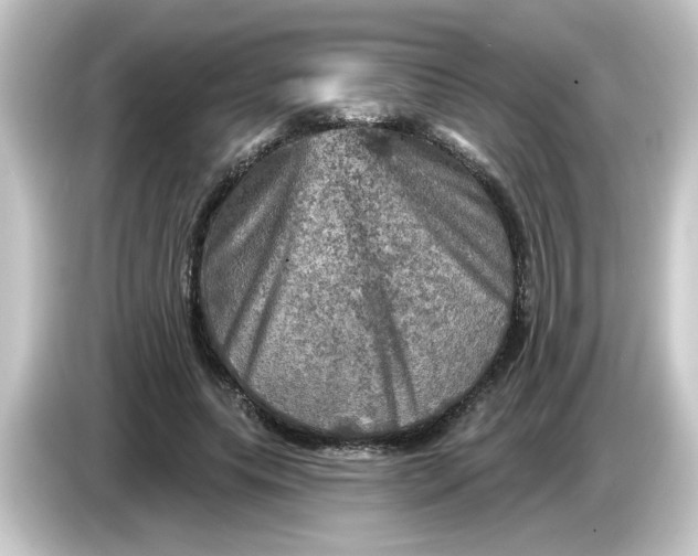 X0000084560639200703161705