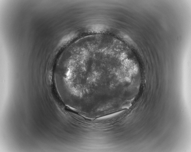 X0000084560640200703161705