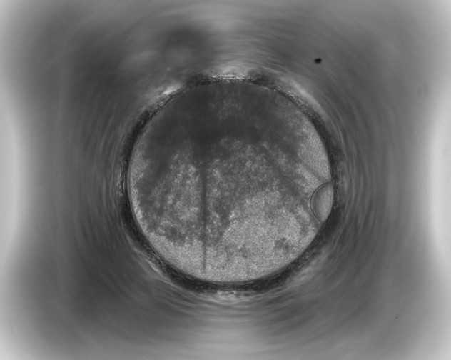 X0000084560641200703161705