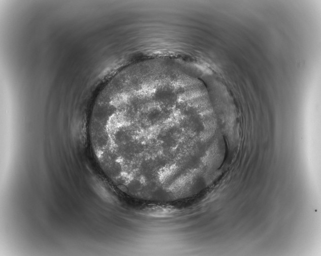 X0000084560642200703161705