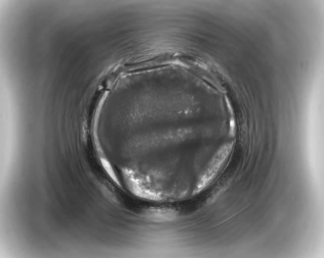 X0000084560644200703161705