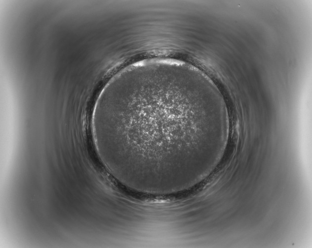 X0000084560647200703161705