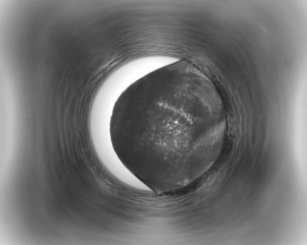 X0000084560648200703161705