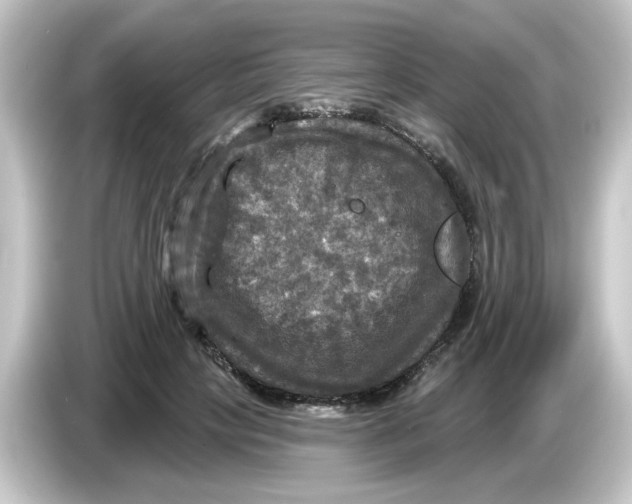 X0000084560649200703161705