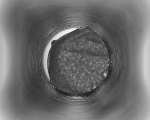 X0000084560650200703161705