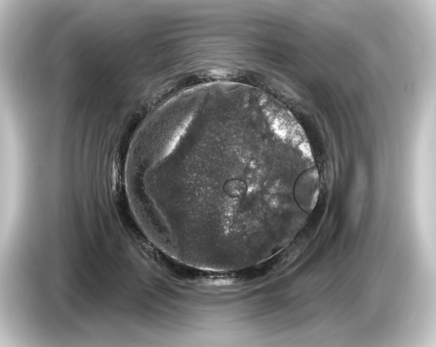 X0000084560651200703161705