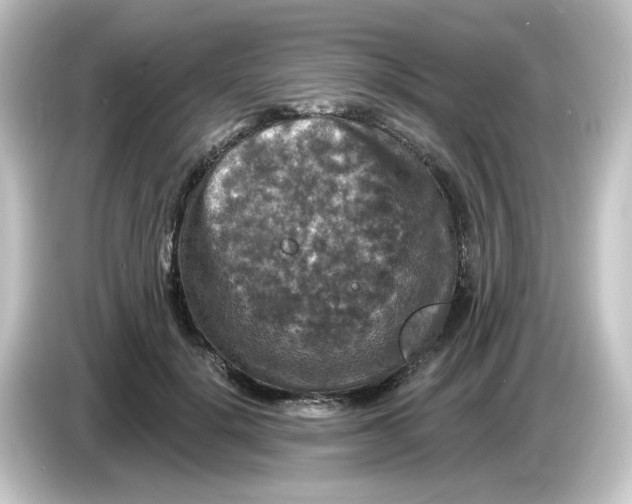 X0000084560652200703161705