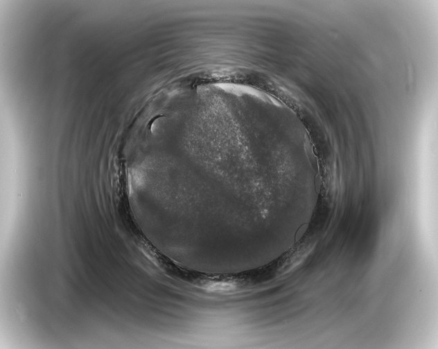 X0000084560653200703161705