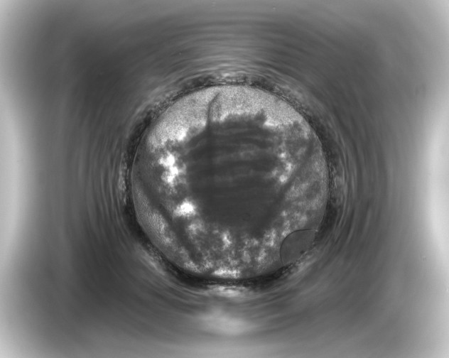 X0000084560654200703161705