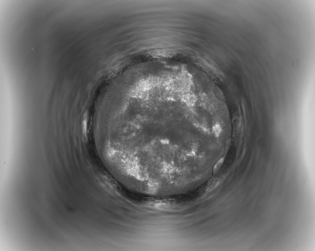 X0000084560655200703161705