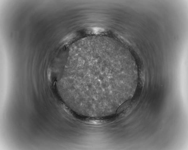 X0000084560657200703161705