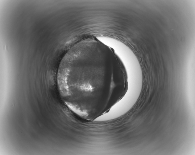 X0000084560658200703161705