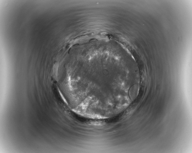 X0000084560659200703161705