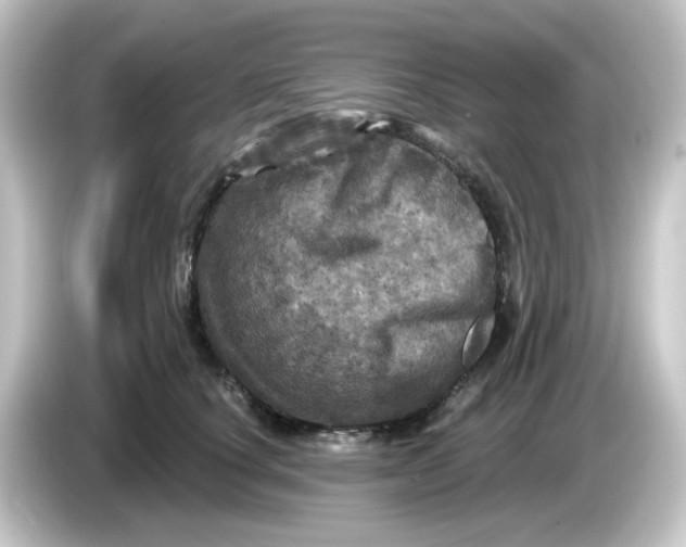 X0000084560660200703161705