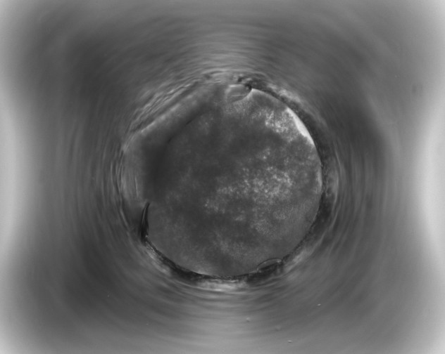 X0000084560661200703161705