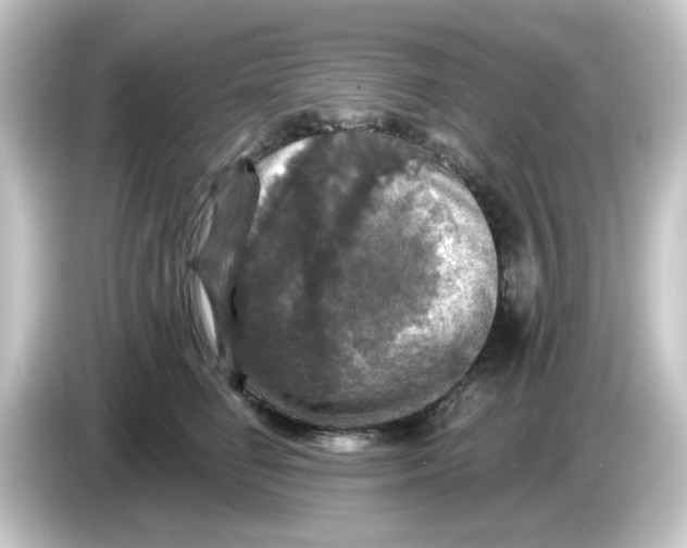 X0000084560662200703161705